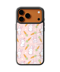 PrismGlass Case