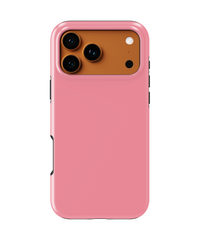 DualShield Case
